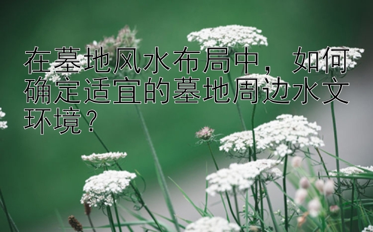 在墓地风水布局中，如何确定适宜的墓地周边水文环境？